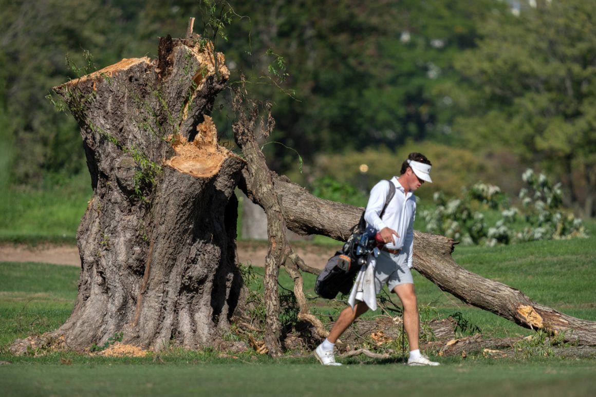 Trump Administration Seeks Recusal of Judge in Tree Removal Legal Battle