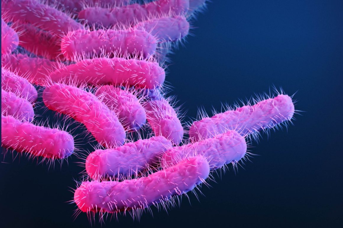The Rise of Antibiotic-Resistant Shigella in the United States
