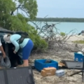 Researchers Close to Unearthing Amelia Earhart’s Plane Wreckage