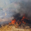 From Wildfires to Waves: A California Resident’s Struggle