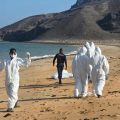 Tragic Shipwreck Off Djibouti Coast Claims Over 139 Lives