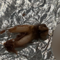 Customer Discovers Cow Tooth in Taco, Files Lawsuit Against Torchy’s Tacos